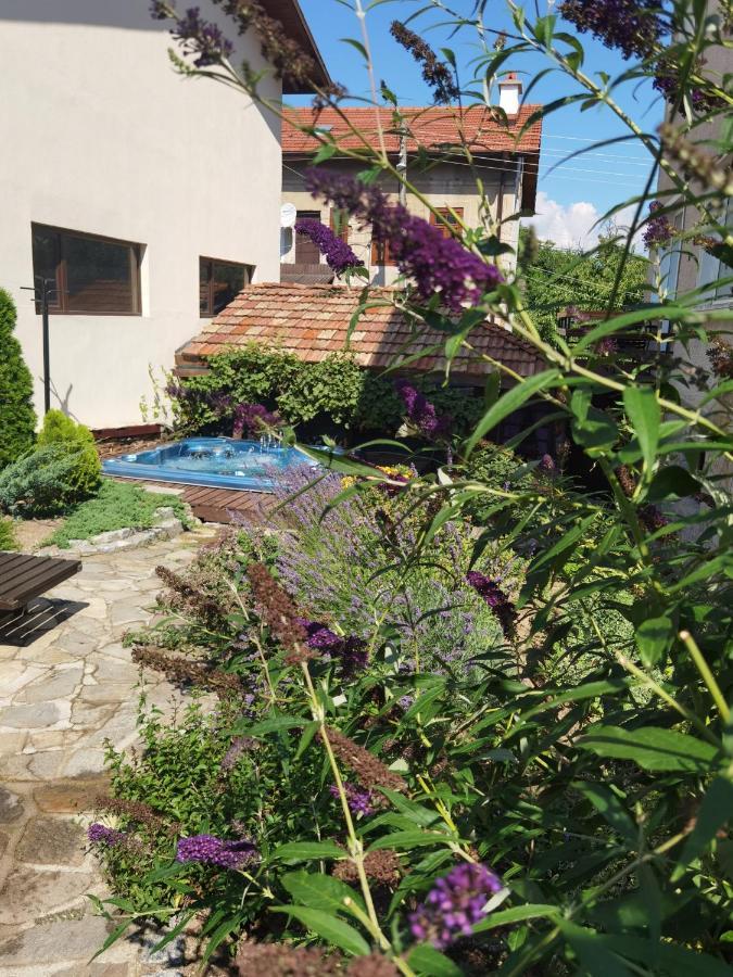 Mira Guest House Dobrinischte Exterior foto